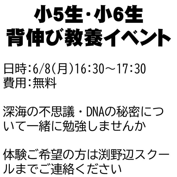 サムネイル3