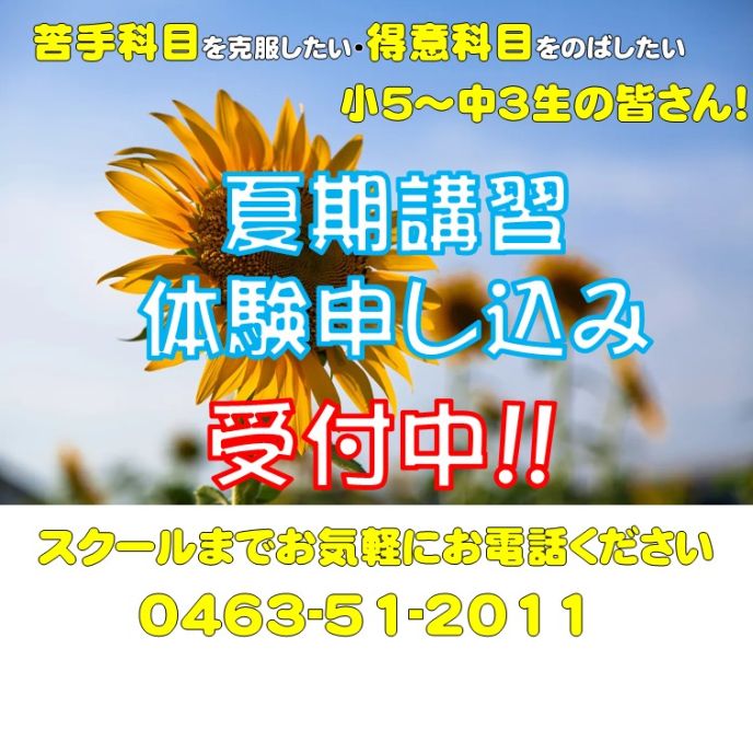 サムネイル4